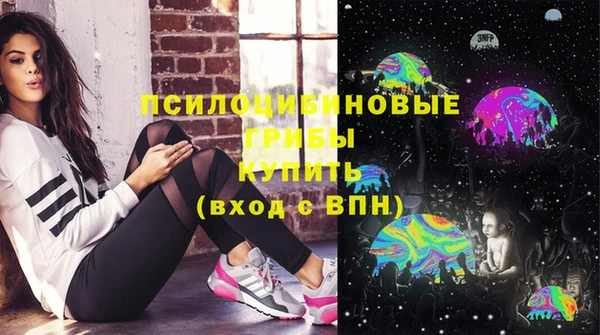 PSILOCYBIN Михайлов