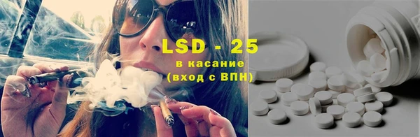 PSILOCYBIN Михайлов