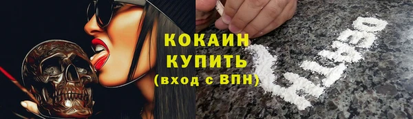 PSILOCYBIN Михайлов